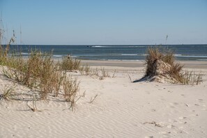 On the beach