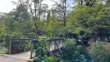 Eine Holzbrücke über einem Fluss, umgeben von dichtem Grün und Bäumen.