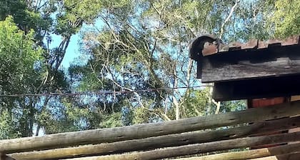 Gaia Point, accommodation, relax surrounded by nature! Closed pet area next to the house