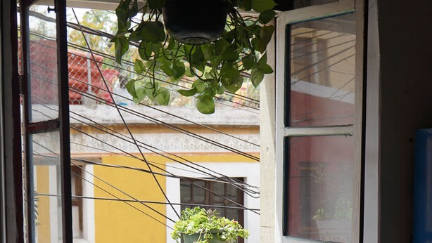 Un pequeño comedor con una mesa y dos sillas, una planta colgante y vistas al exterior.