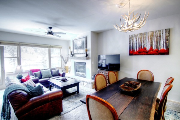 TV, fireplace, DVD player