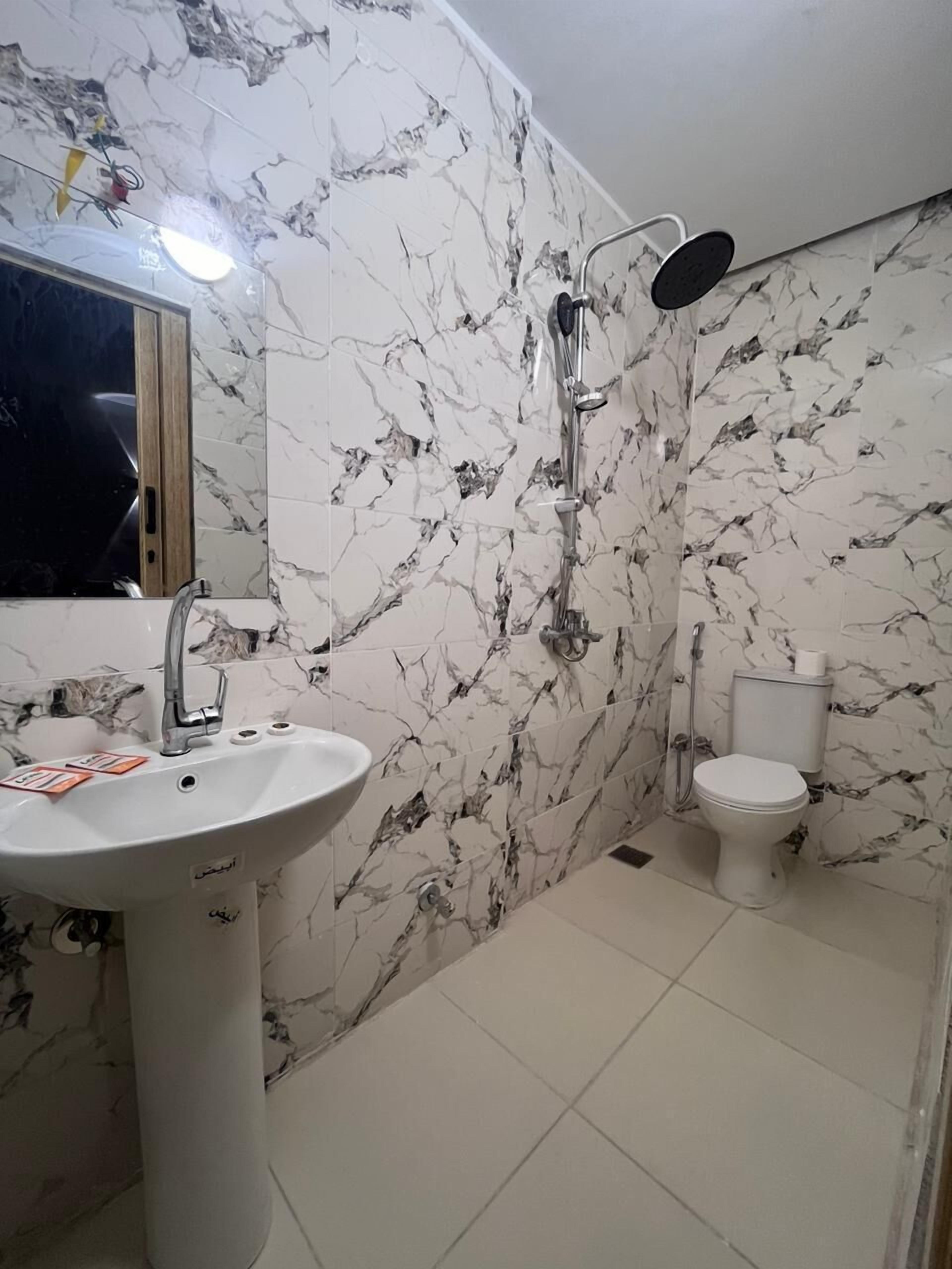 Une salle de bain avec un lavabo blanc, des toilettes et une douche équipée d’un pommeau de douche amovible.