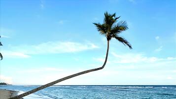 Liggestole, badehåndklæder