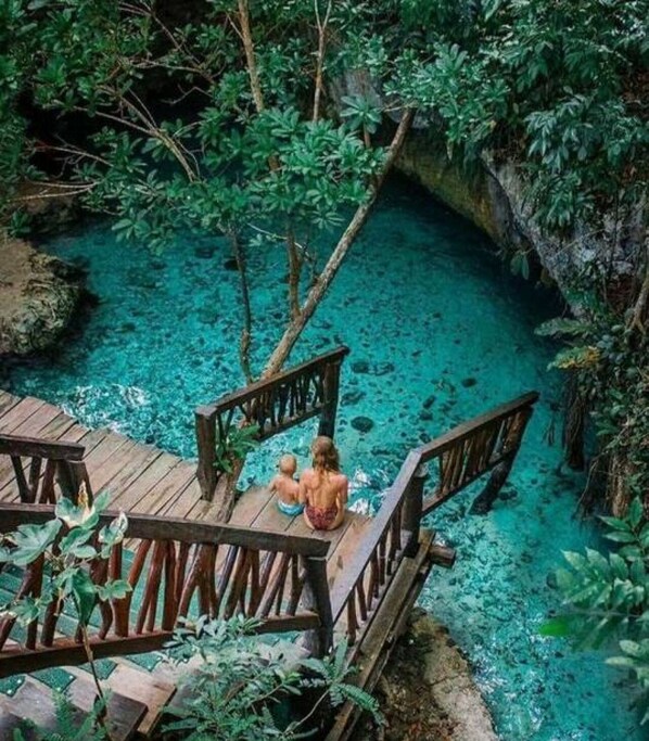 Property grounds - 5 Min Beach -Villa Private Pool - Jacuzzi and Bar (Tulum)