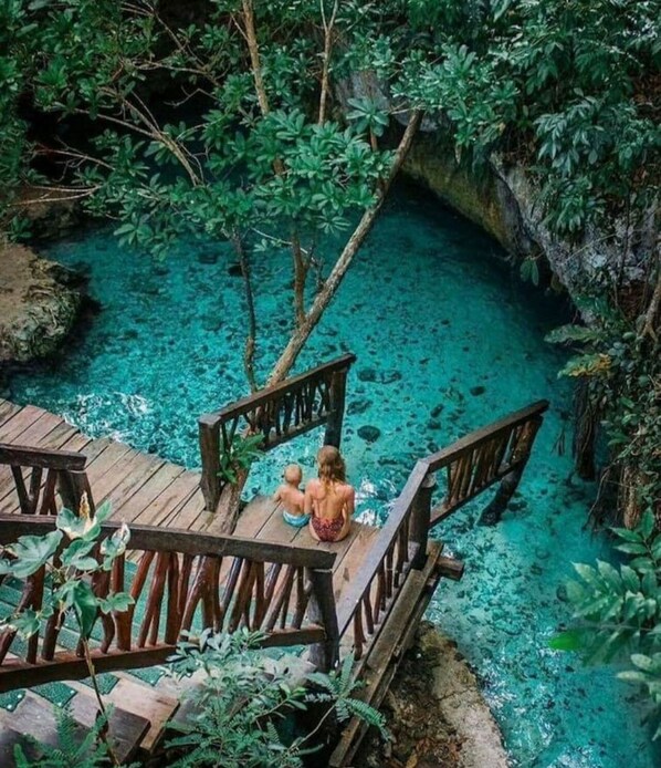 Property grounds - Ph Private Pool&Rooftop/5 Min Cenotes/12 Min Beach (Tulum)