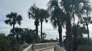 A wooden boardwalk with white railings, surrounded by palm trees and greenery. - Oceanfront Villa with Pool (Hilton Head Island)