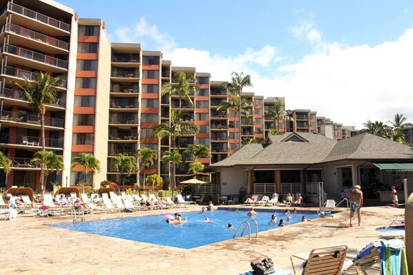 Et hotel med en swimmingpool omgivet af liggestole og palmer.