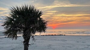 Una palmera en la playa con un atardecer de fondo.