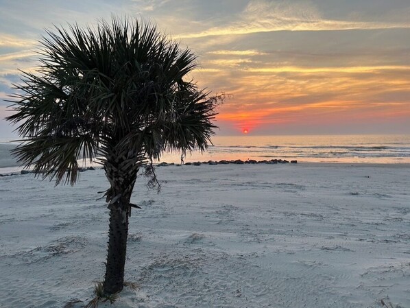 Beach - Cozy 4-bedroom beach house w/private heated pool near park in Hilton Head Island (Hilton Head Island)