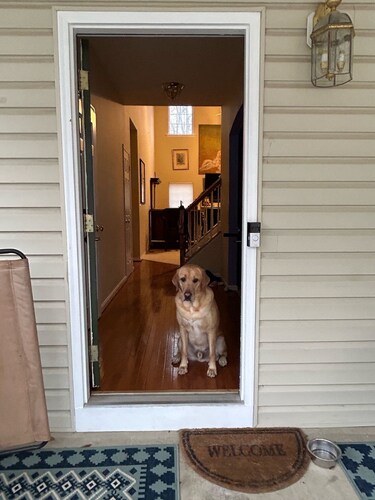 The Big Chill: a 4-bedroom house on Sweetbriar Park at Lake of the Woods