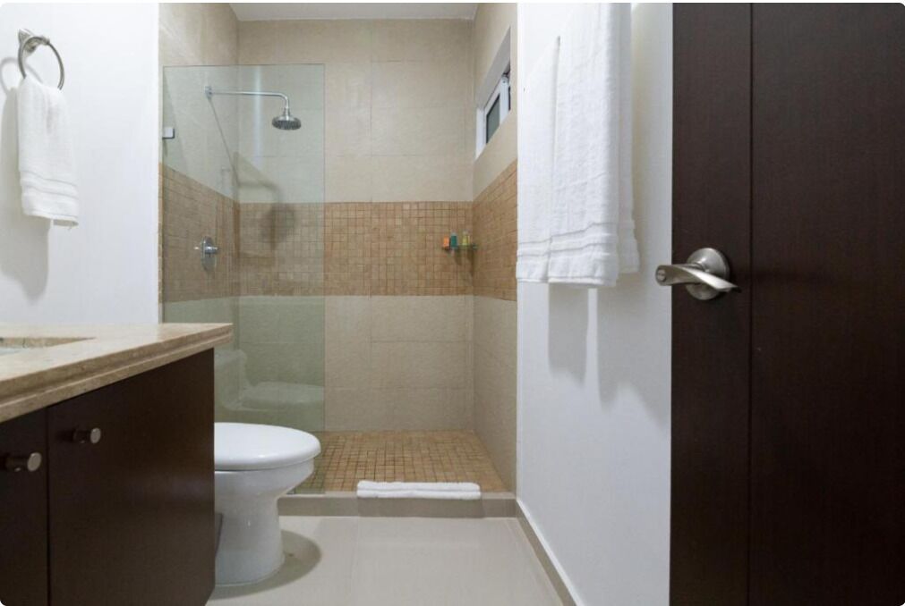 A bathroom with a glass shower enclosure, a toilet, and a dark wooden door.