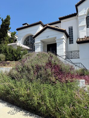 A white building with a number '127' on the facade, a staircase leading to the entrance, and a garden with various plants in front.