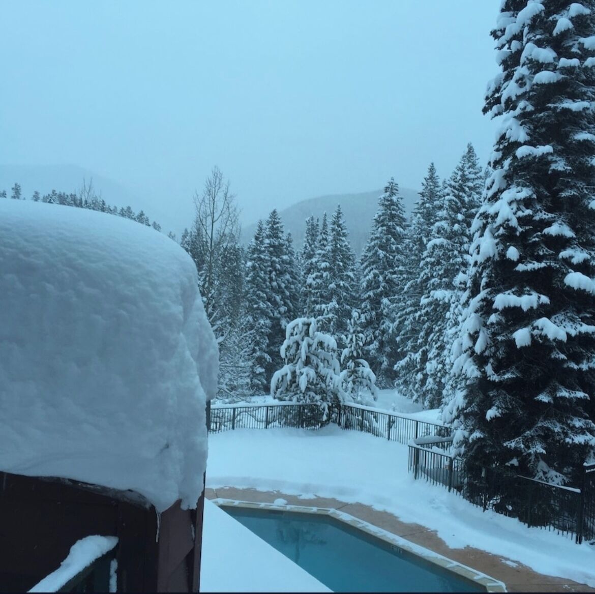 A snow-covered landscape with a pool area, surrounded by snow-laden trees and a mountain in the background.