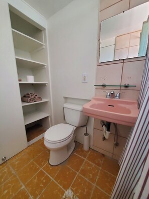 Hair dryer, towels, soap, toilet paper