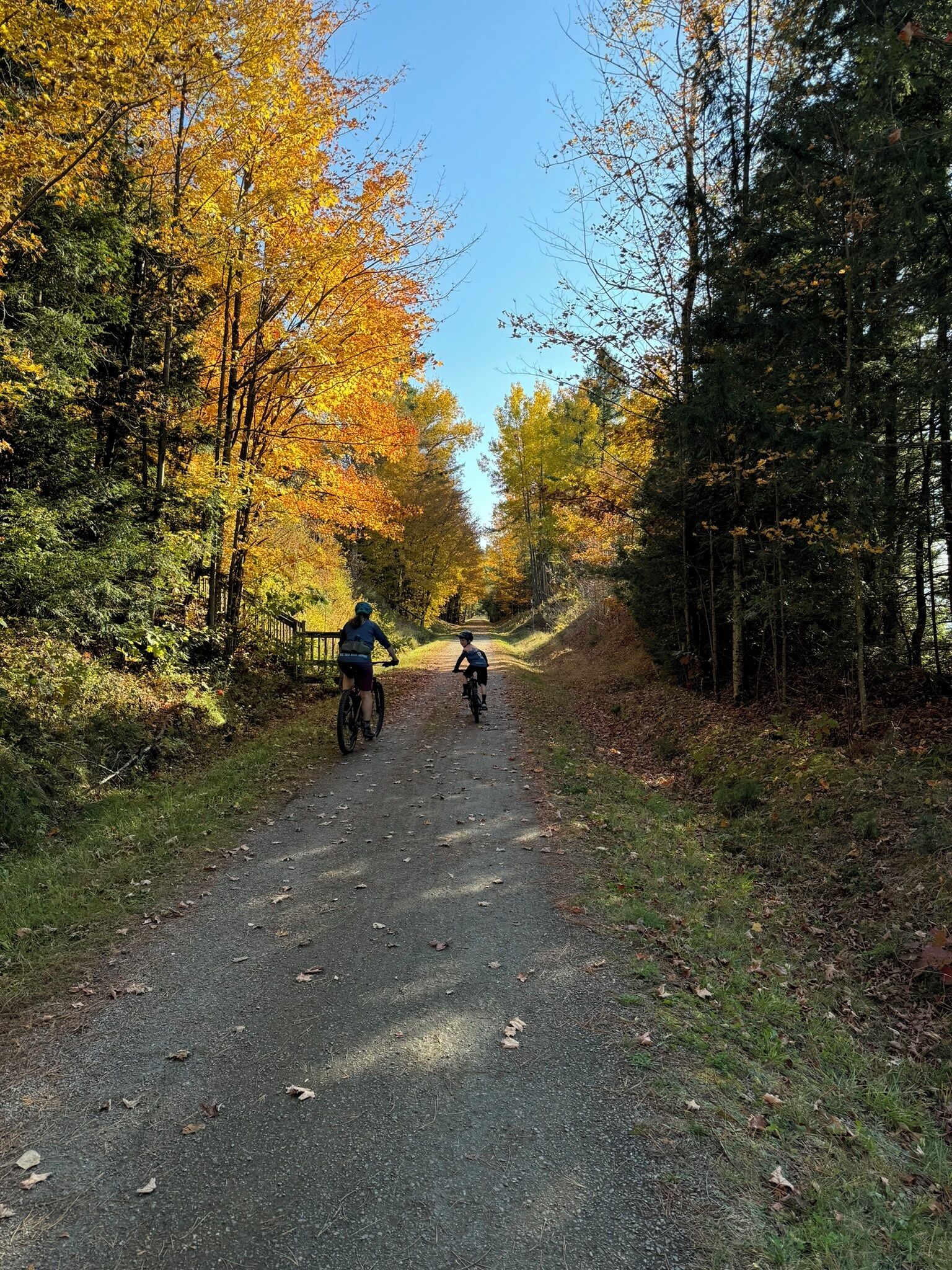 A paved path flanked by trees with autumn foliage, leading into the distance.