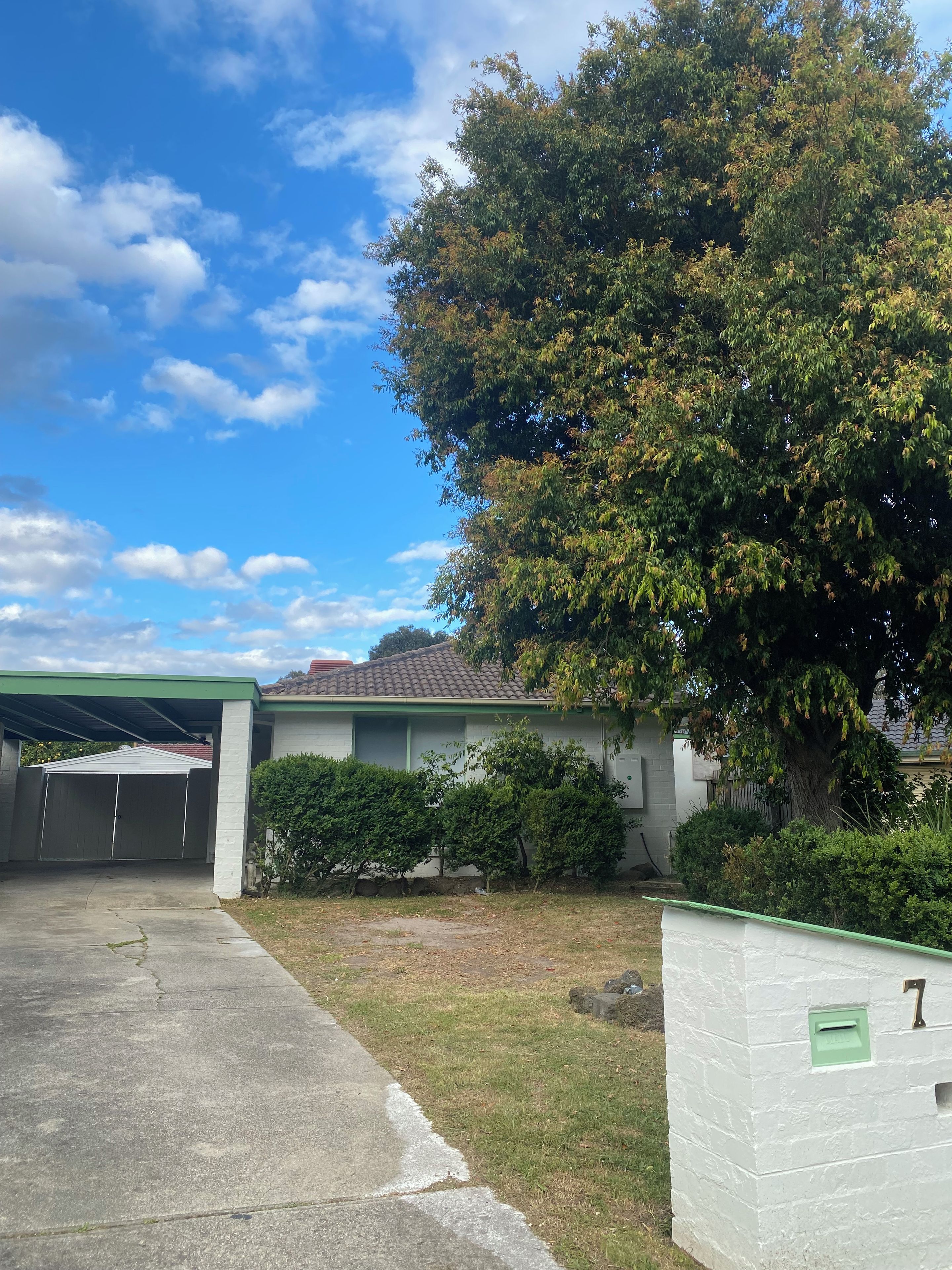 A residential property with a garage, a covered driveway, and a large tree.