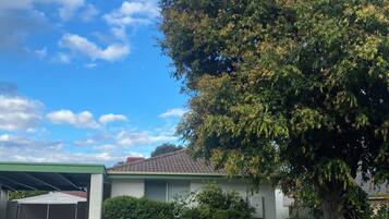 A residential property with a garage, a covered driveway, and a large tree.