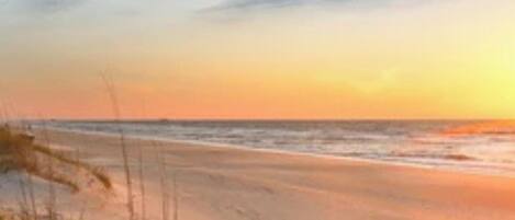 Plage à proximité, chaises longues, serviettes de plage