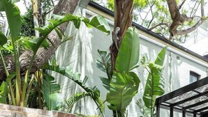 Un banco y una mesa de madera frente a un muro de ladrillo, con grandes hojas verdes al fondo.
