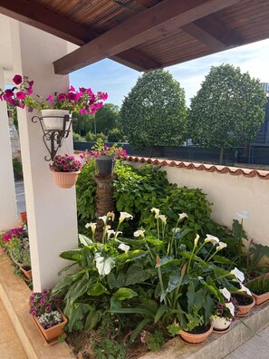 Stroll through the beautifully maintained garden, surrounded by a variety of potted plants and flowers.
