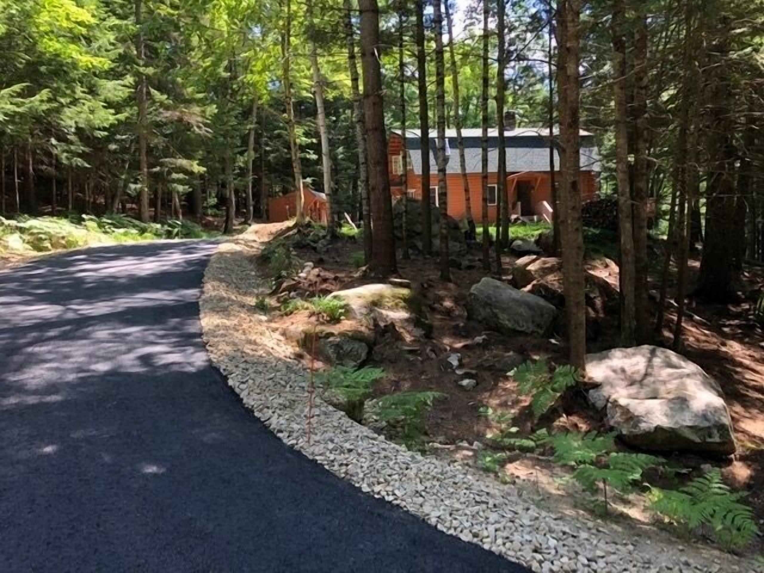 A forested area with a paved road curving through it, surrounded by trees and rocks.