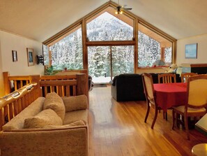 Smart TV, fireplace, books