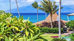 A tropical resort with a view of the ocean and mountains, featuring palm trees, a brick building, and lush greenery.