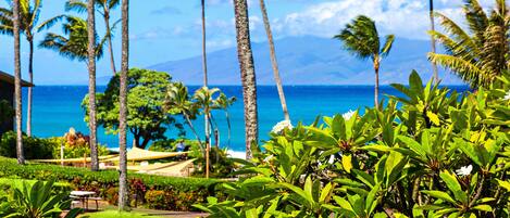 Àrea exterior de l'allotjament