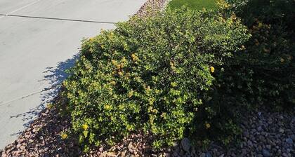 Great Specials Now! PET Friendly, 2 Bedroom, 2 Bath Home, 10 min. from The Strip