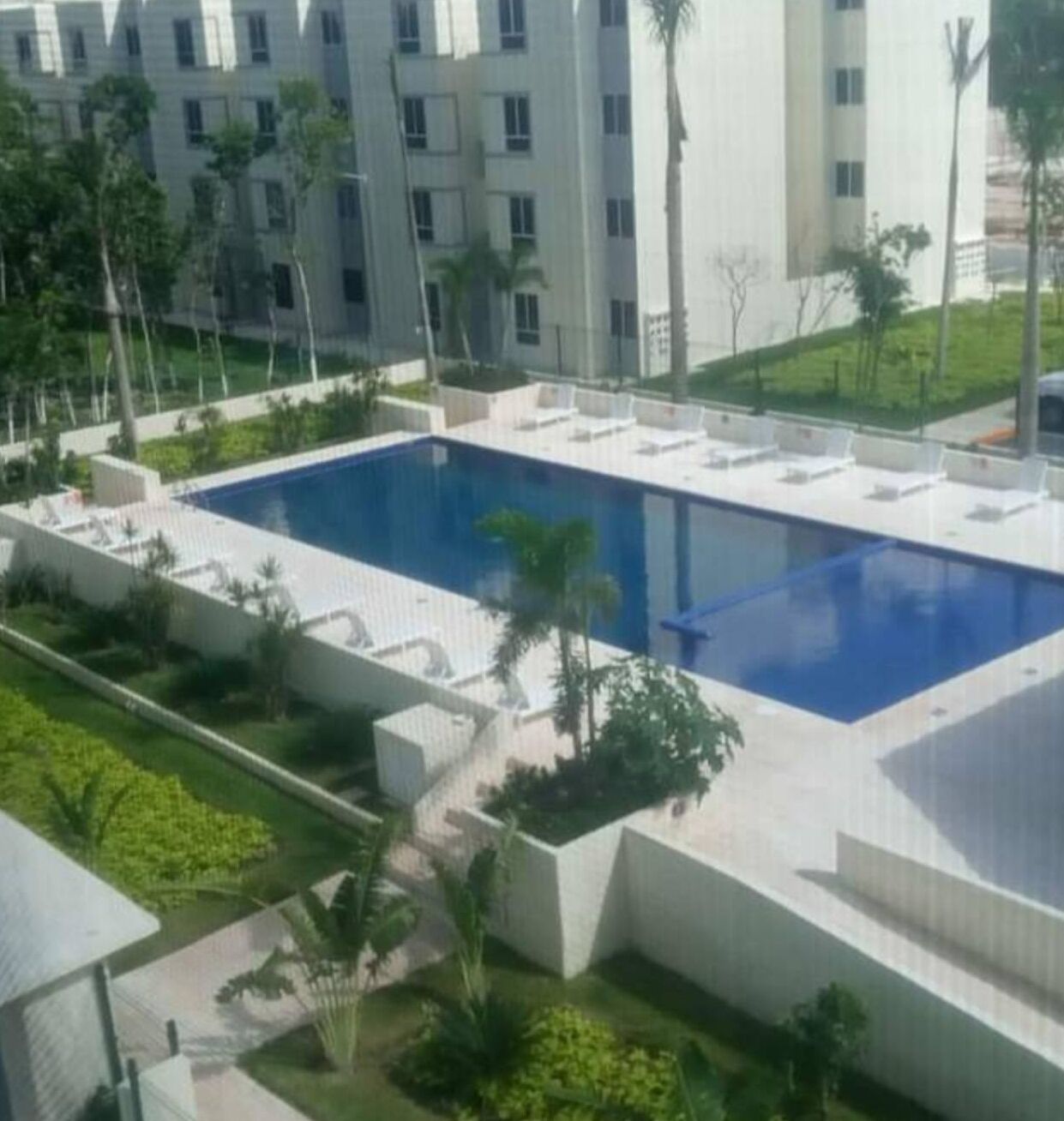 A modern building with a rectangular pool surrounded by greenery and palm trees.