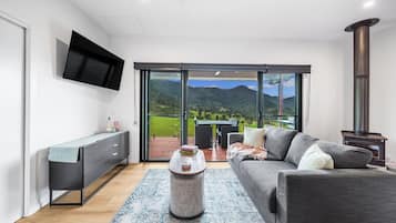 Smart TV, fireplace