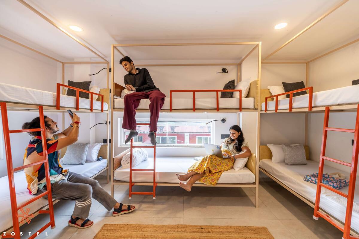 Une chambre de dortoir avec des lits superposés, une échelle et un canapé.