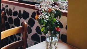 A table with a vase of flowers and a decorative item, a view of mountains through a window with a cow print wall. - Lodging in Ollantaytambo living inka city with viewpoint to mountains (Ollantaytambo)