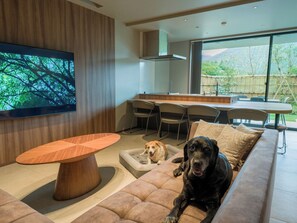 TV - Rakuten STAY TERRACE Hakone Kowakudani D 2 beds  raised platform dog friendly / Ashigarashimo-gun Kanagawa (Ashigarashimo-gun)