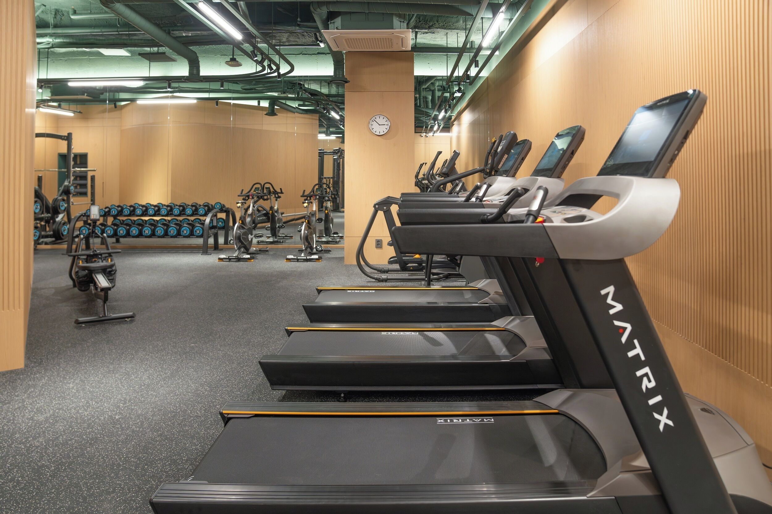 A gym with treadmills, dumbbells, and weight machines.