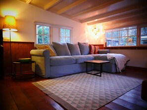 Smart TV, fireplace, books, video library