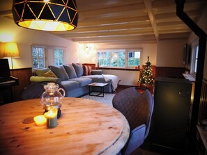 Smart TV, fireplace, books, video library