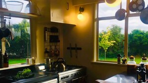 Une cuisine moderne dotée d’un grand îlot central, d’appareils électroménagers en acier inoxydable et offrant une vue sur le jardin grâce aux fenêtres.