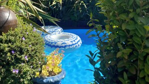 Une piscine entourée d’une végétation luxuriante et deux bouées gonflables bleues.