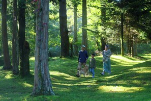 Property grounds - Village Kagetsuen (Yamanakako)