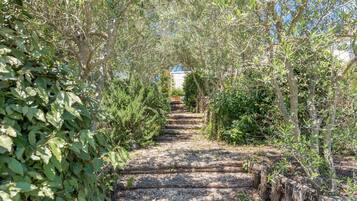 Overnattingsstedets uteområder