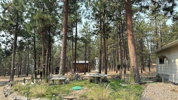 Parco della struttura