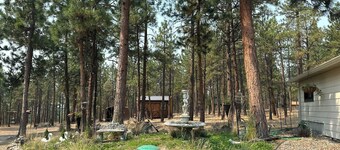 Charming private 1bdrm New pet friendly Cottage nestled in Stevensville/5 acres 