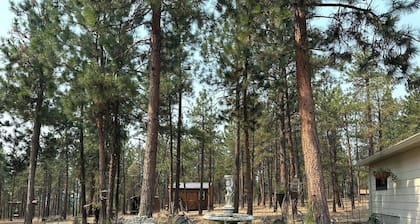 Charming private 1bdrm New pet friendly Cottage nestled in Stevensville/5 acres