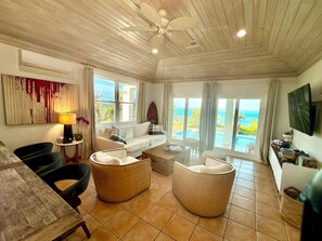Smart TV, video games, DVD player, ping pong - 8-bedroom Ocean Front  in Double Bay Eleuthera  with NOT a heated pool (North Palmetto Point)