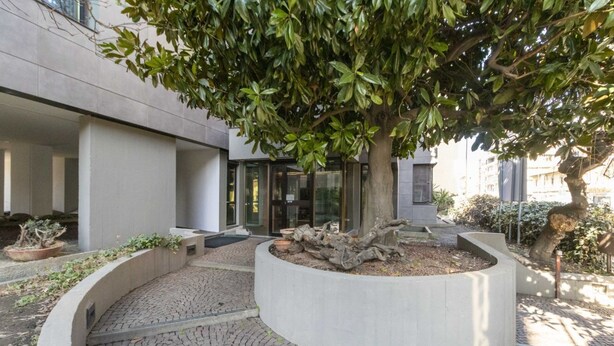 A courtyard with a tree, a circular planter with a tree trunk, and a building entrance.