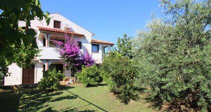 Apartments in Porec/istrien 10072
