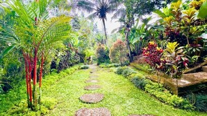 A garden pathway with stepping stones, surrounded by lush greenery and various plants.