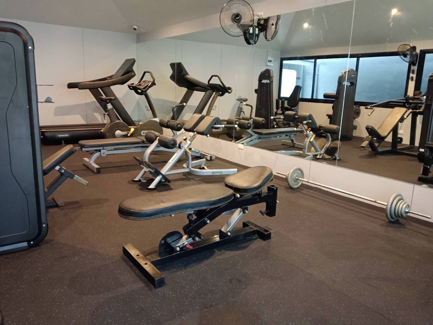 A gym with various exercise equipment, including treadmills, a bench press, and a squat rack.