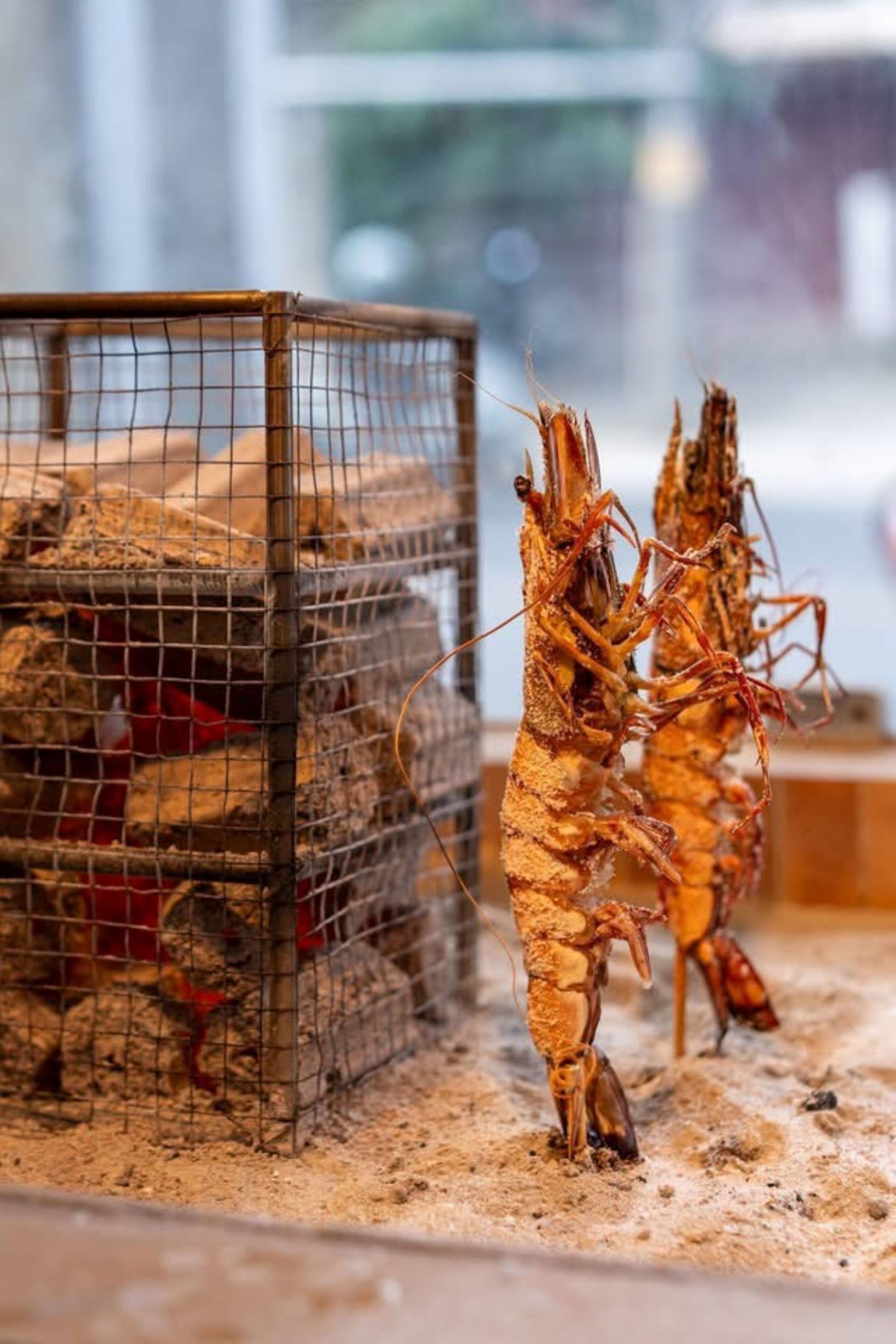 A wire cage with two cooked prawns on a sandy surface.